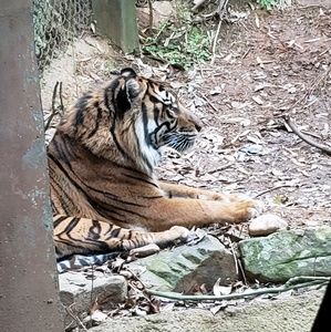 Meet your Posher, Kareem